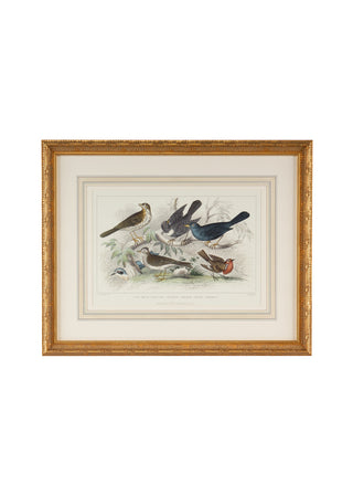 Handcrafted Gold Leaf Frame with Hand-Watercolored Engravings – Wall Art, 22" x 27.25"