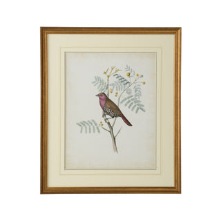 Delicate Birds Artwork Collection – Giclée Prints with Gold Frame and French Line Matting