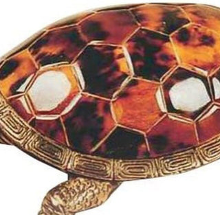 Maitland Smith Young Penshell And Brass Turtle