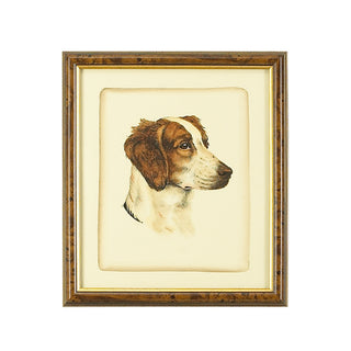 Danchin Brittany Spaniel Hand-Colored Print in Brown and Gold Frame – 18" x 15.5"