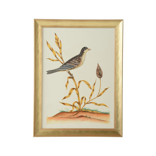 Hand-Painted Watercolor Birds by Bill Cain – Framed in Gold Wood, 25" x 19"