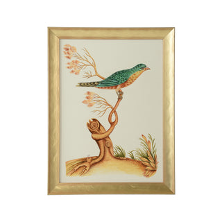 Hand-Painted Watercolor Birds by Bill Cain – Framed in Gold Wood, 25" x 19"