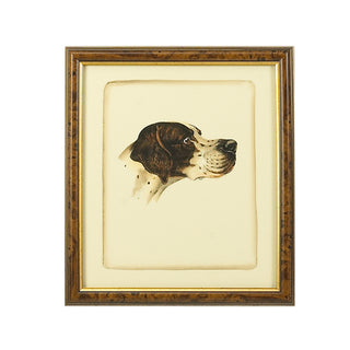 Danchin Pointer Hand-Colored Print in Brown and Gold Frame – 18" x 15.5"