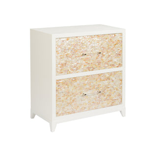 Mother of Pearl Chest - Two-Drawer Accent Piece with Acrylic Handles