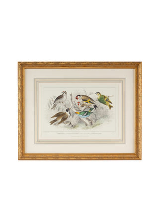 Handcrafted Gold Leaf Frame with Hand-Watercolored Engravings – Wall Art, 22" x 27.25"