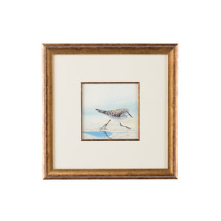 Sand Piper Collection – Hand-Painted Watercolor Art with Antique Gold Frame, White Mat, and Glass