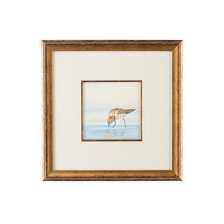 Sand Piper Collection – Hand-Painted Watercolor Art with Antique Gold Frame, White Mat, and Glass