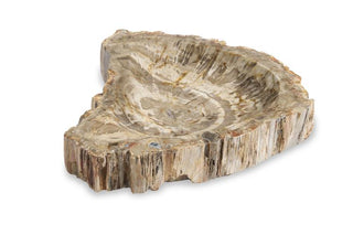 Maitland Smith Brown Petrified Wood Bowl – 11–13 in Handcrafted Natural Décor