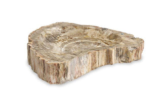 Maitland Smith Large Petrified Wood Bowl – Brown Finish