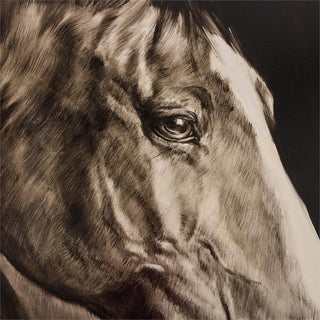 LM Zhou's Noble Equine