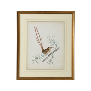 Delicate Birds Artwork Collection – Giclée Prints with Gold Frame and French Line Matting