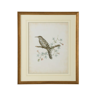 Delicate Birds Artwork Collection – Giclée Prints with Gold Frame and French Line Matting