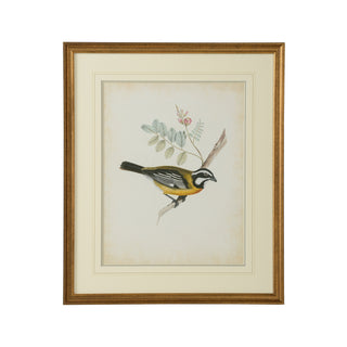 Delicate Birds Artwork Collection – Giclée Prints with Gold Frame and French Line Matting