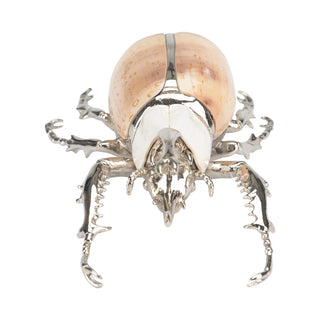 Beetle Paperweight – Silver-Plated Body with Eyed Cowrie Shell and Cow Bone, Unique Desk Accessory