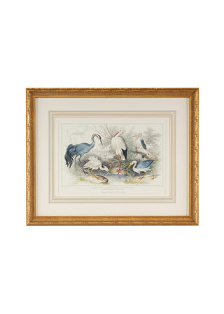 Handcrafted Gold Leaf Frame with Hand-Watercolored Engravings – Wall Art, 22" x 27.25"