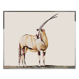 ANTILOPE