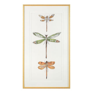 Joy Colangelo's Joyful Dragonflies II GBG-2492B