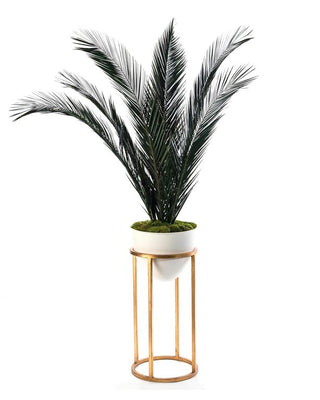 Mid-Century Palms JRB-3849