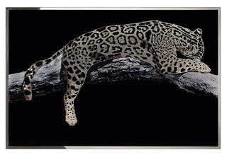 LEOPARDO ORO