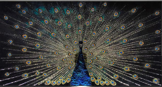 Visionnaire Peacock by Michele Astolfi