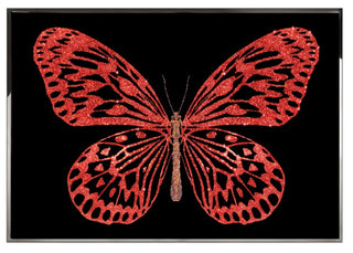 RED BUTTERFLY